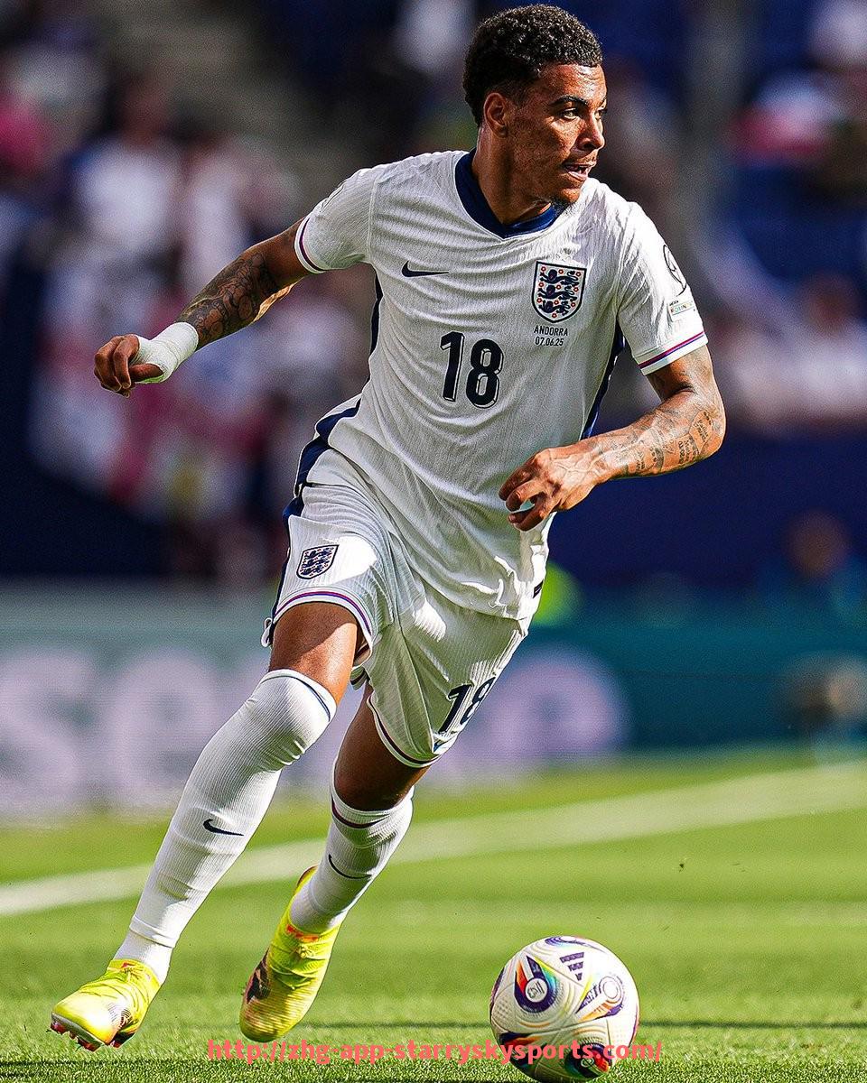 星空体育app-世俱杯比赛球鞋品牌分布情况统计，谁是赞助大户